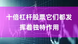 十倍杠杆股票它们都发挥着独特作用