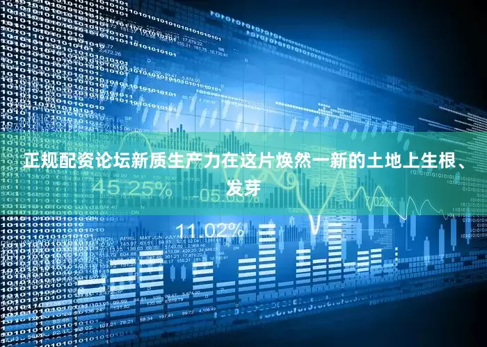 正规配资论坛新质生产力在这片焕然一新的土地上生根、发芽