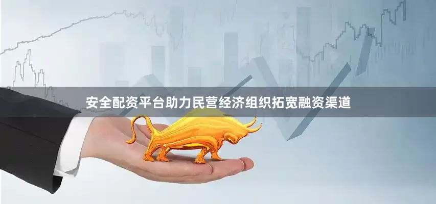 安全配资平台助力民营经济组织拓宽融资渠道